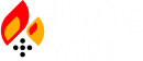 Blazing wildz